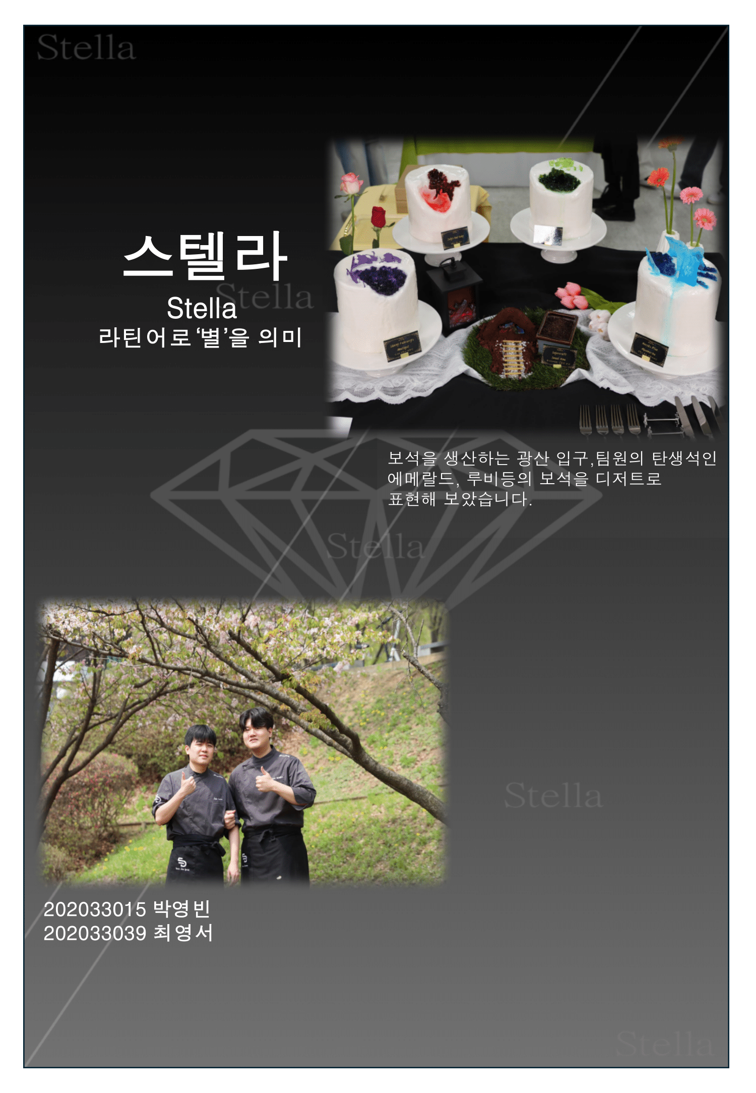 졸업작품집ppt-최영서, 박영빈(스텔라)pdf-1.png