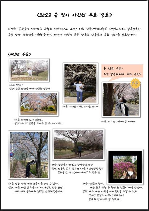 🌸봄 맞이 사진전🌸