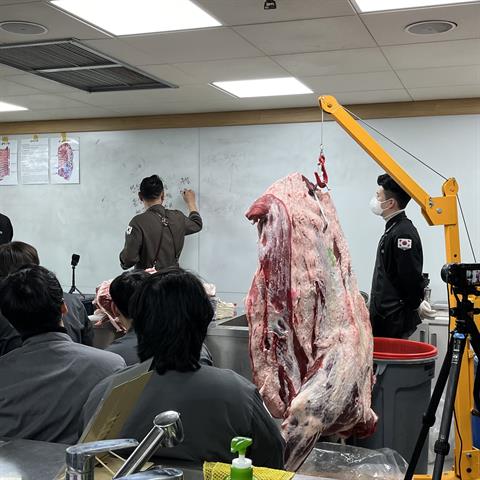 소 한마리 해체하는 날🧑🏻‍🍳